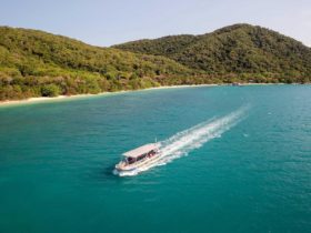 Glass Bottom Boat Dry Tour on Fitzroy Island