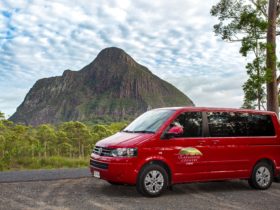 Image show the Glasshouse Country Tours bus with a view of Mt Beerwah in the background