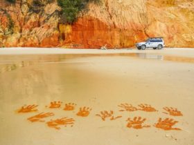 Great Beach Drive 4wd Tours