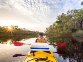 Upper Noosa River- Noosa Everglades