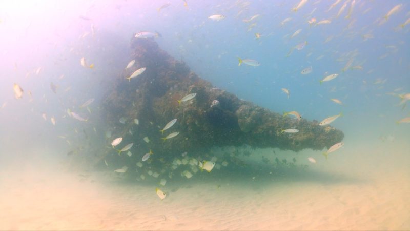 Scottish Prince shipwreck