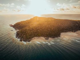 Noosa Helicopter Rides
