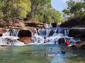 Guests swimming at Twin Falls on the Cape York Tour