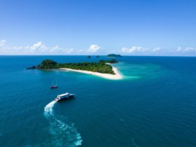 Great Barrier Reef Day Trips - Frankland Islands | The Tour Specialists