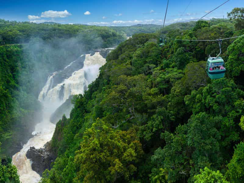 skyrail rainforest cableway tropic wings kuranda tours