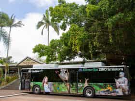 tropic wings 100% electric bus eco tourism kuranda tours