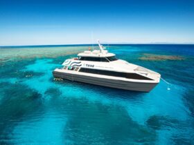 Tusa Reef Tours offers an exclusive experience of the breath-taking Great Barrier Reef