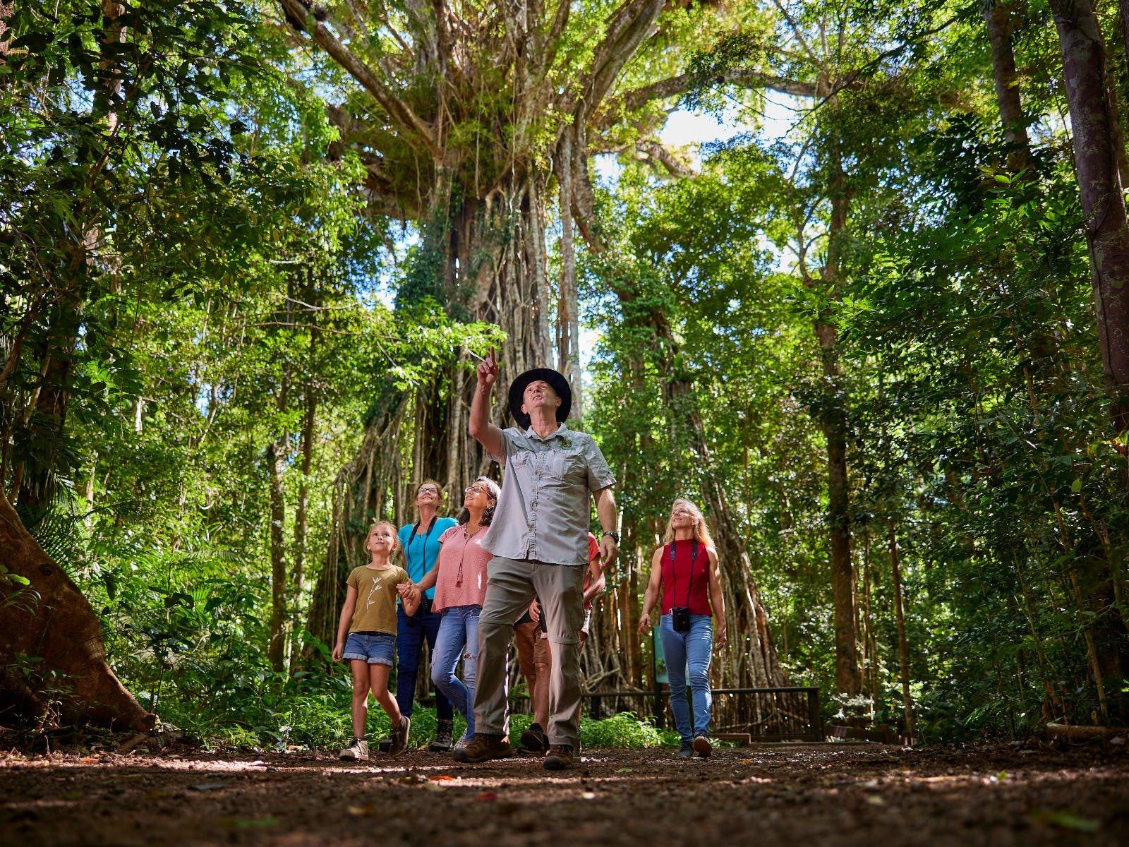 Guided Rainforest Tours