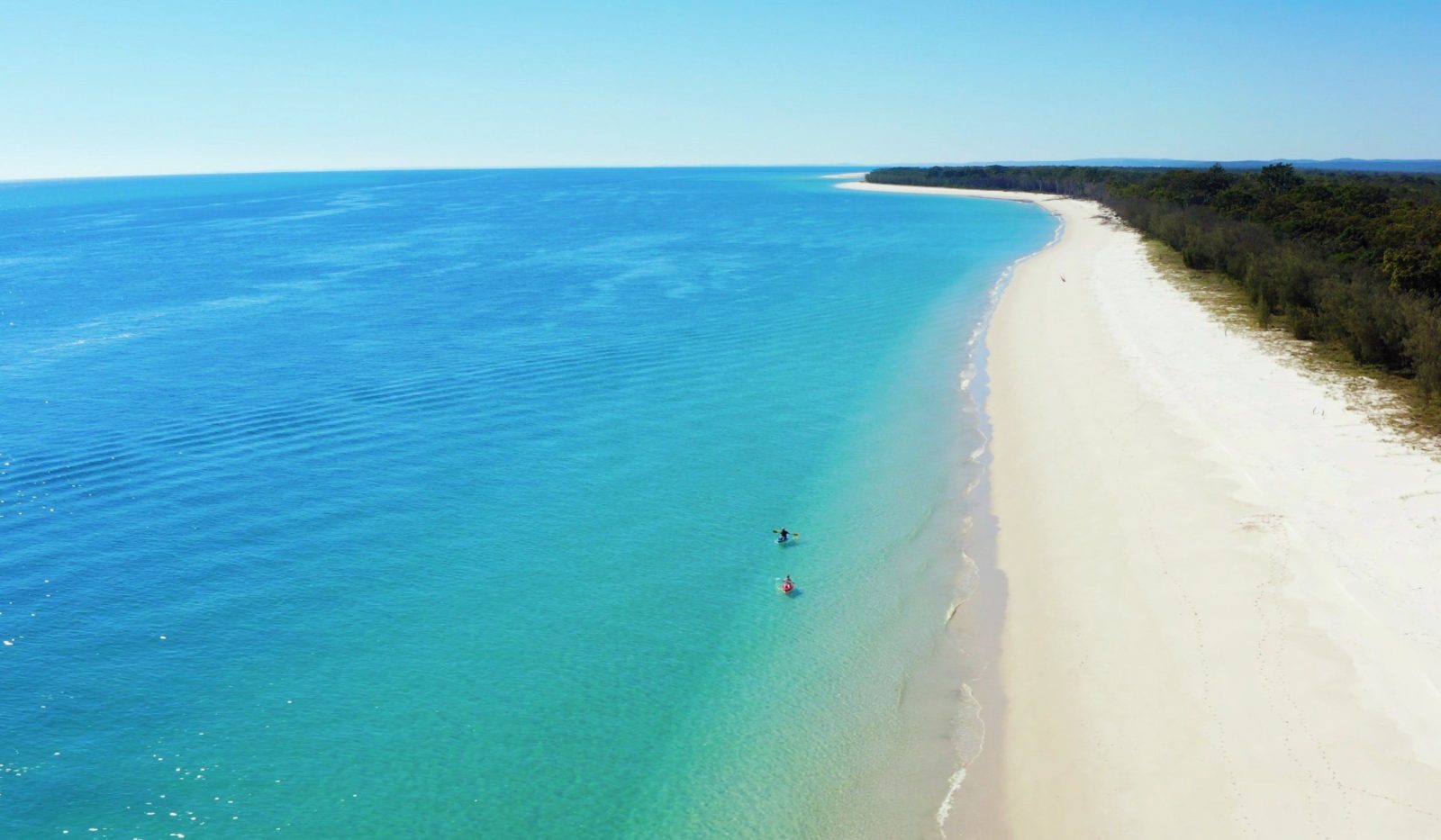 Remote West Coast Fraser Island half-day kayaking turquoise waters Whalesong Cruises