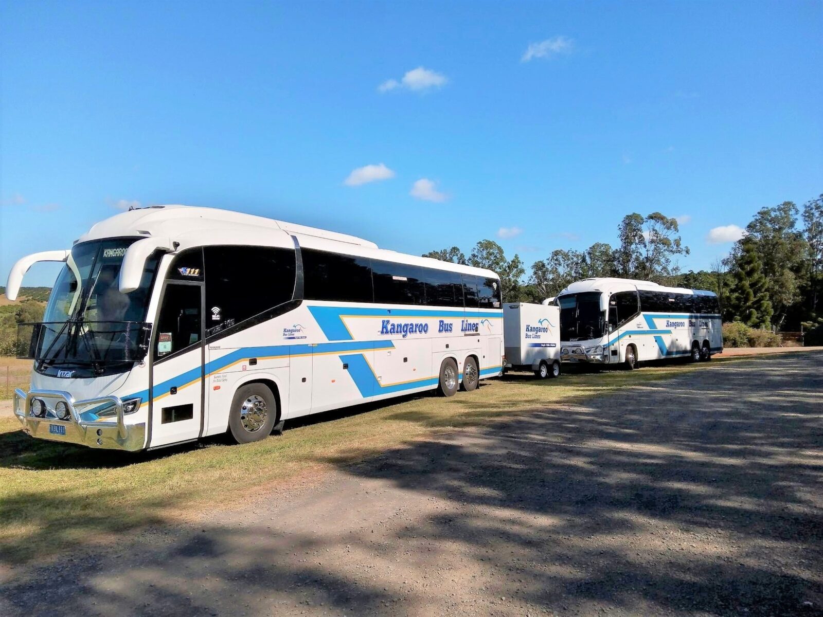 kangaroo bus lines day trips