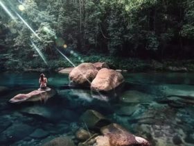 Discover the wonders of Mossman Gorge within the majestic Daintree National Park