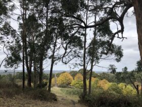 Adelaide Hills Magical Retreat
