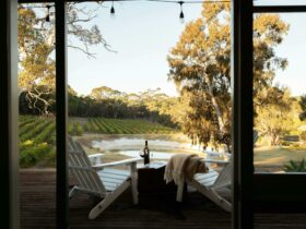 deck chairs overlooking vineyard