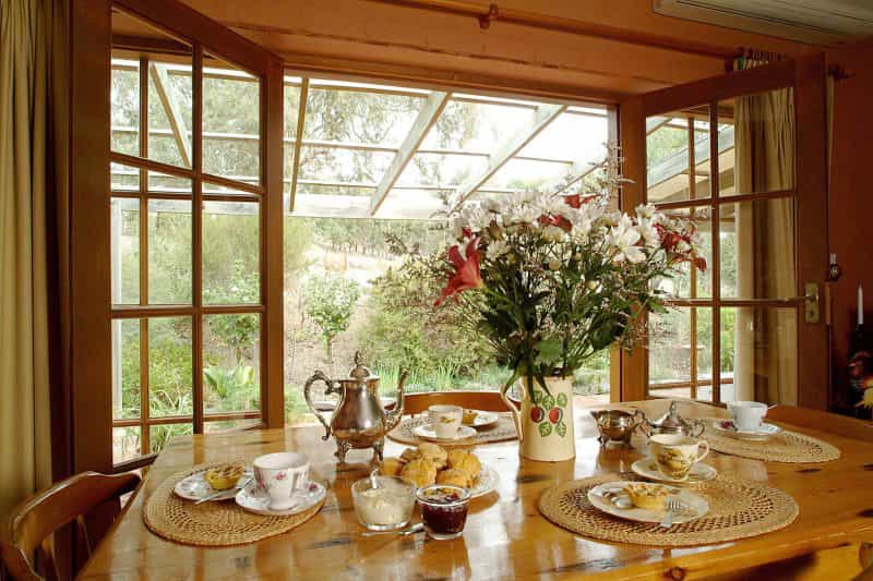 Ancient gums keep watch over you while enjoying breakfast and the cottage garden