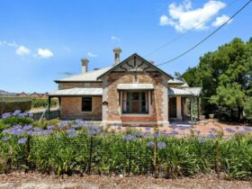 Barossa Vineyard Guesthouse - Front