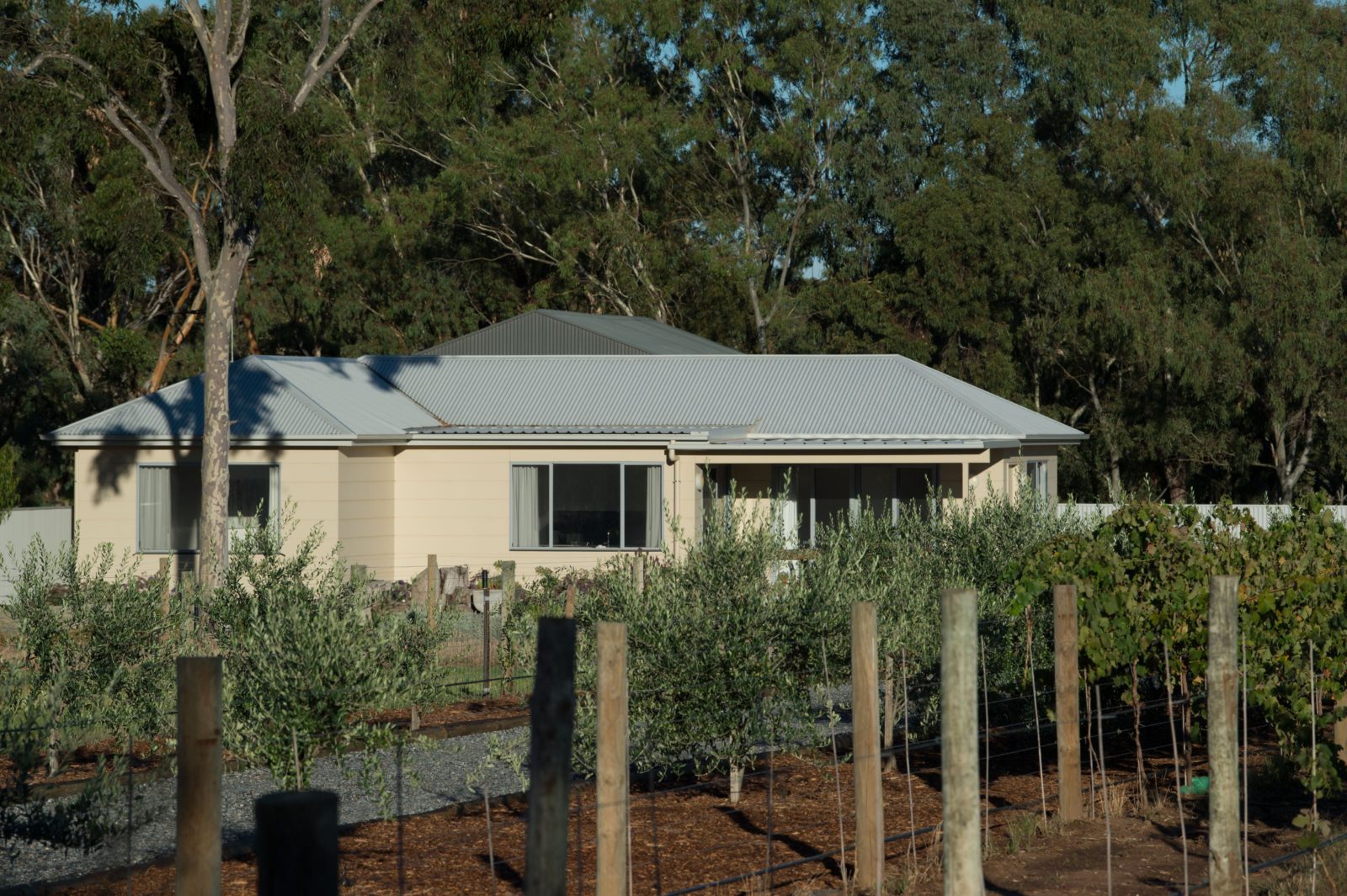 Barossa bed and breakfast