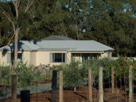Barossa bed and breakfast
