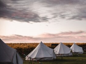 Standard Glamping Tent