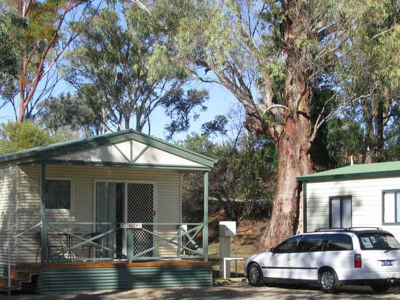 two cabins under gum trees
