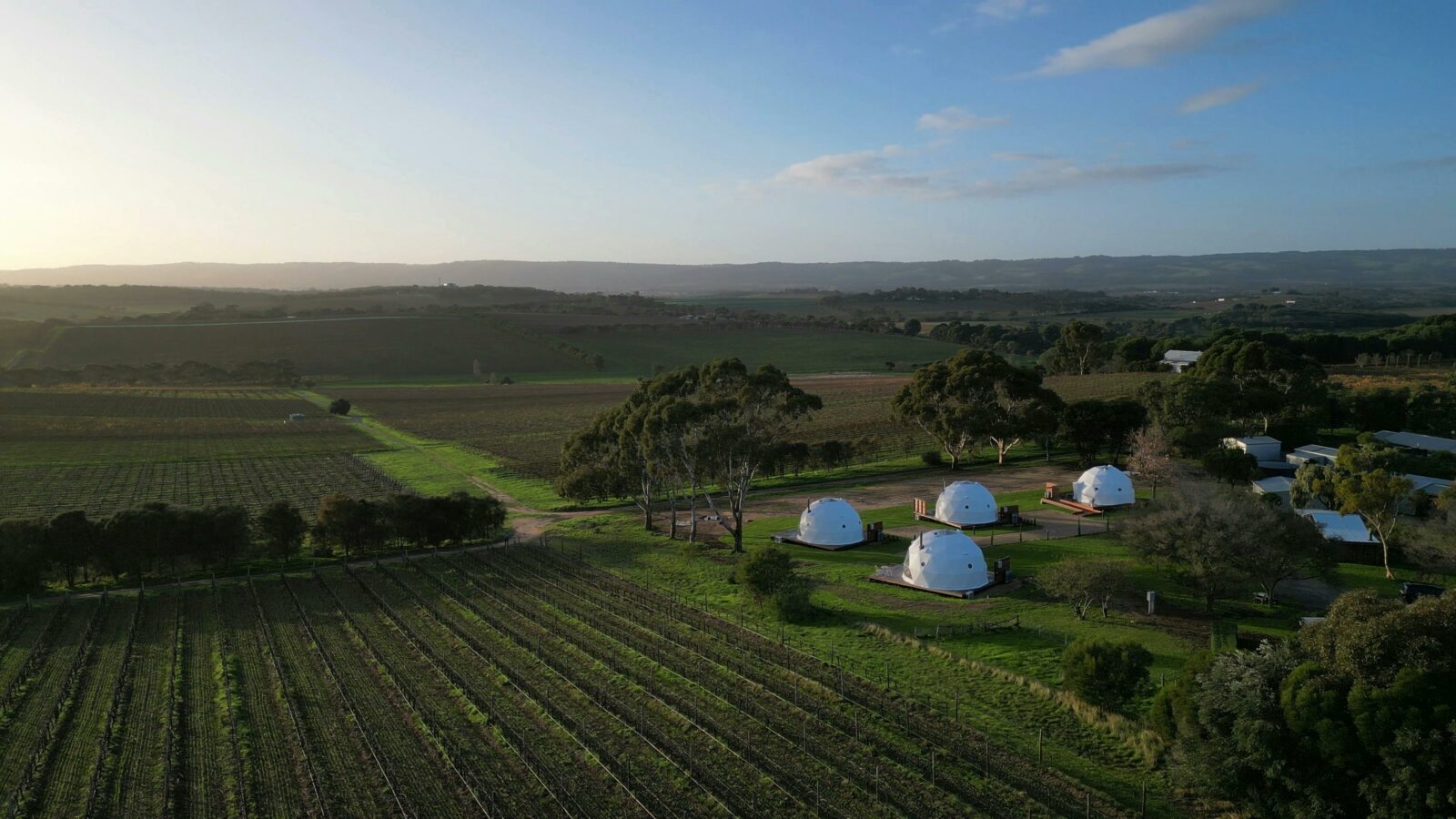 Domes against the vines