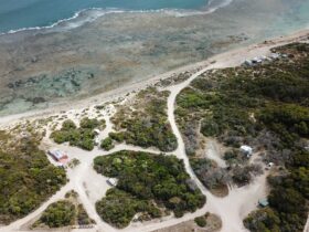 Drone view of coastal campground. Sand tracks through coastal scrub. Reef coast in background.