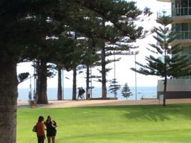 Opposite Colley Reserve and Glenelg Beach