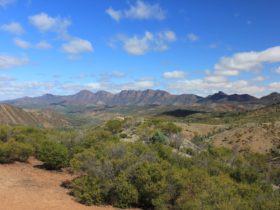 Ikara-Flinders Ranges National Park
