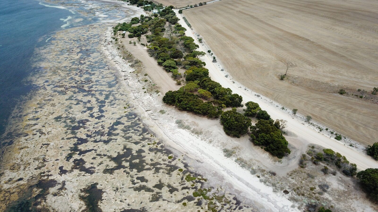Drone view of coastline with trees and shallow reef