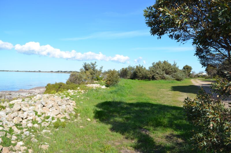Green campsite, shaded by tree, blue ocean and skies in background