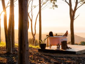 Out door claw foot bath nestled amongst the gum trees overlooking the plains towards the ocean