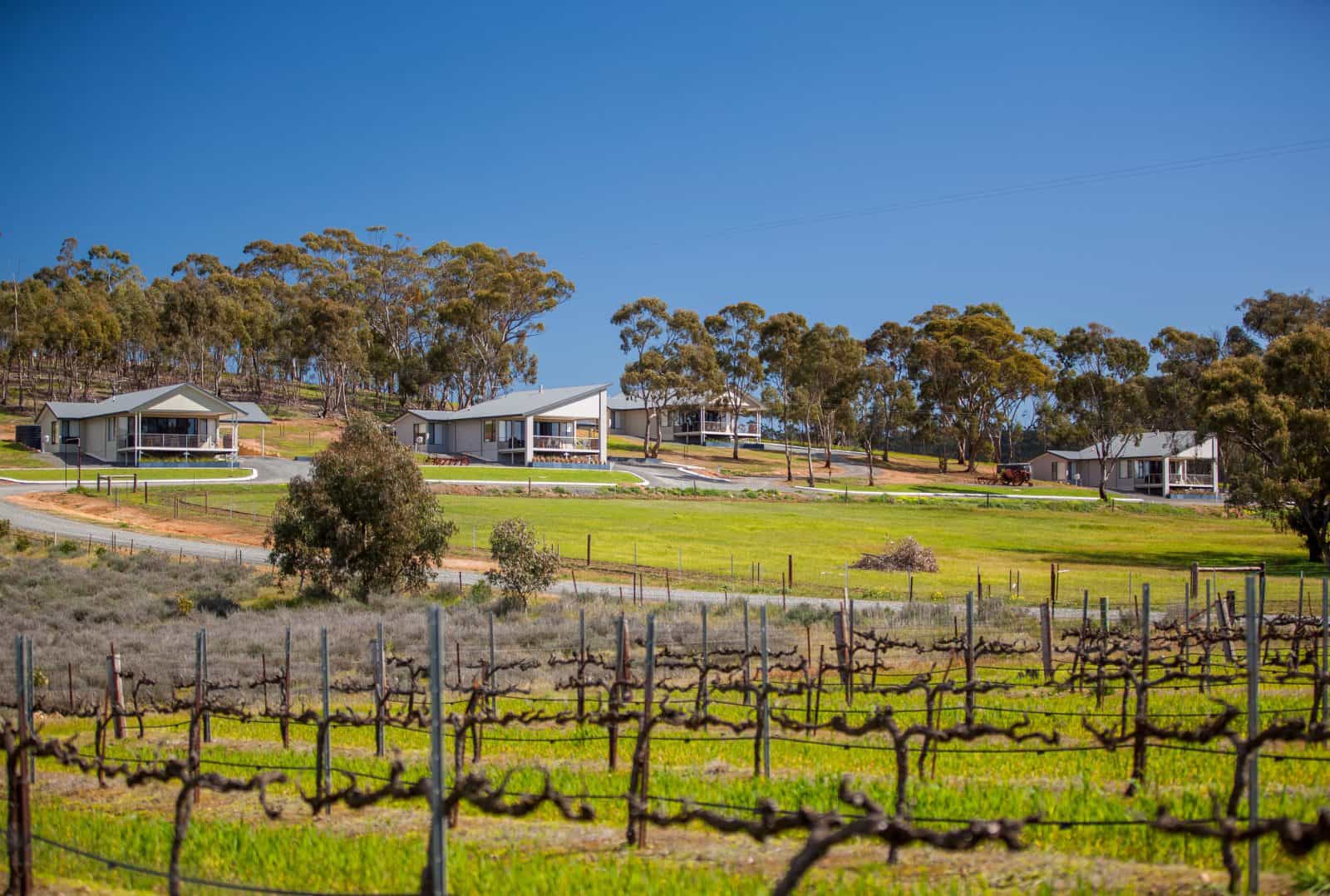 Nestled amongst the trees, overlooking vineyards and natural landscape