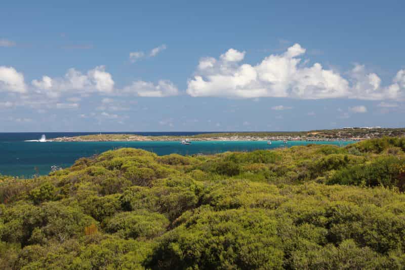 Shows coastal vegetation, the blue ocean and Point Ellen