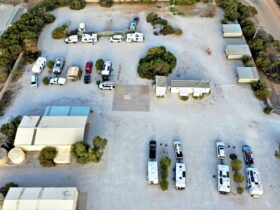 Penong Caravan Park fro the air with vans and facilities. Spacious, clean white gravel with trees.
