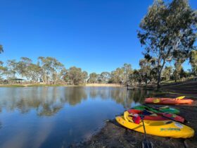 Sit-on-top paddling watercraft on the edge of Roonka Billabong