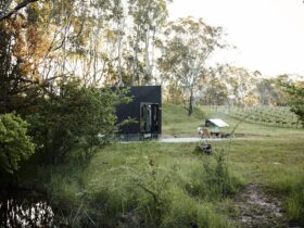 Slow Cabin accommodation clare valley