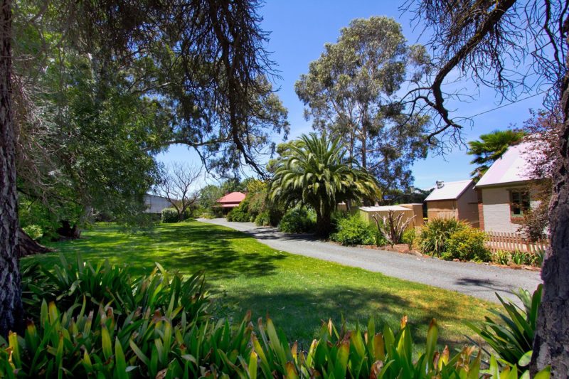 Tanunda Cottages Lawn Area