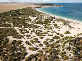 Drone view of sandy tracks in grid pattern around campsites. Coastline, beach and aqua ocean.