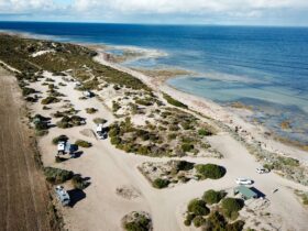 Drone view of sand track campsites, beach and aqua ocean, horizon