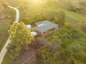Drone view of The Hideaway and surrounding vineyards during sunset