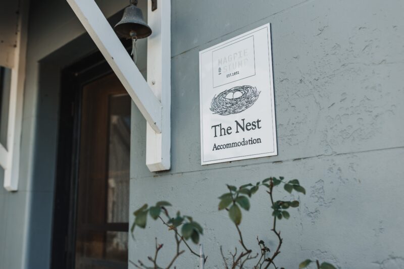 the-nest-outside