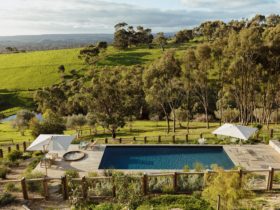 Private freshwater pool overlooking the McLaren Vale