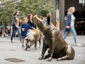 Bronze statues of pigs