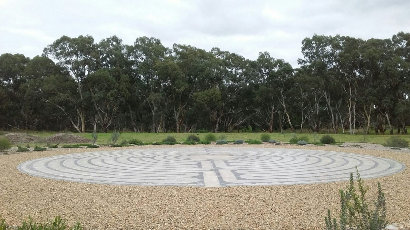 The photo shows a Chartres design labyrinth with a background of rever redgum trees