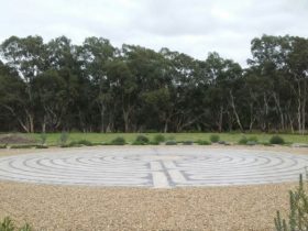 The photo shows a Chartres design labyrinth with a background of rever redgum trees