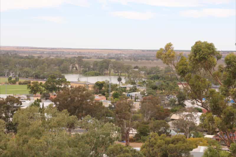 View from Berri Lookout Tower