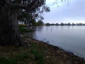 Cockatoo Lake