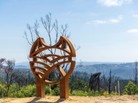 Fox Creek Bike Park logo sculpture with view over Cudlee Creek hills