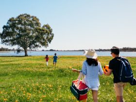 Picnicking facilities including a barbeque are available at Happy Valley Reservoir Reserve