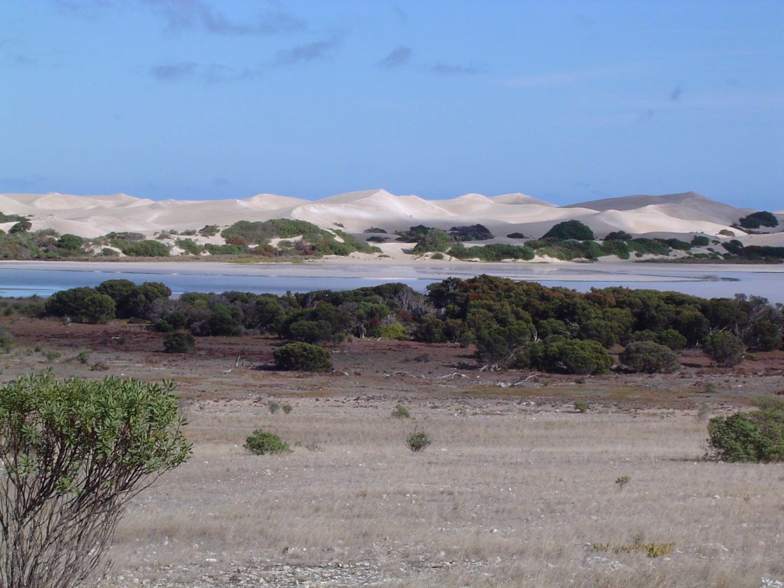The natural saline lakes and surrounding coastal dunes of Lake Newland Conservation Park