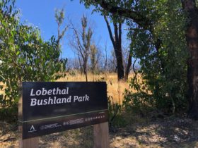 Welcome sign at Lobethal Bushland Park